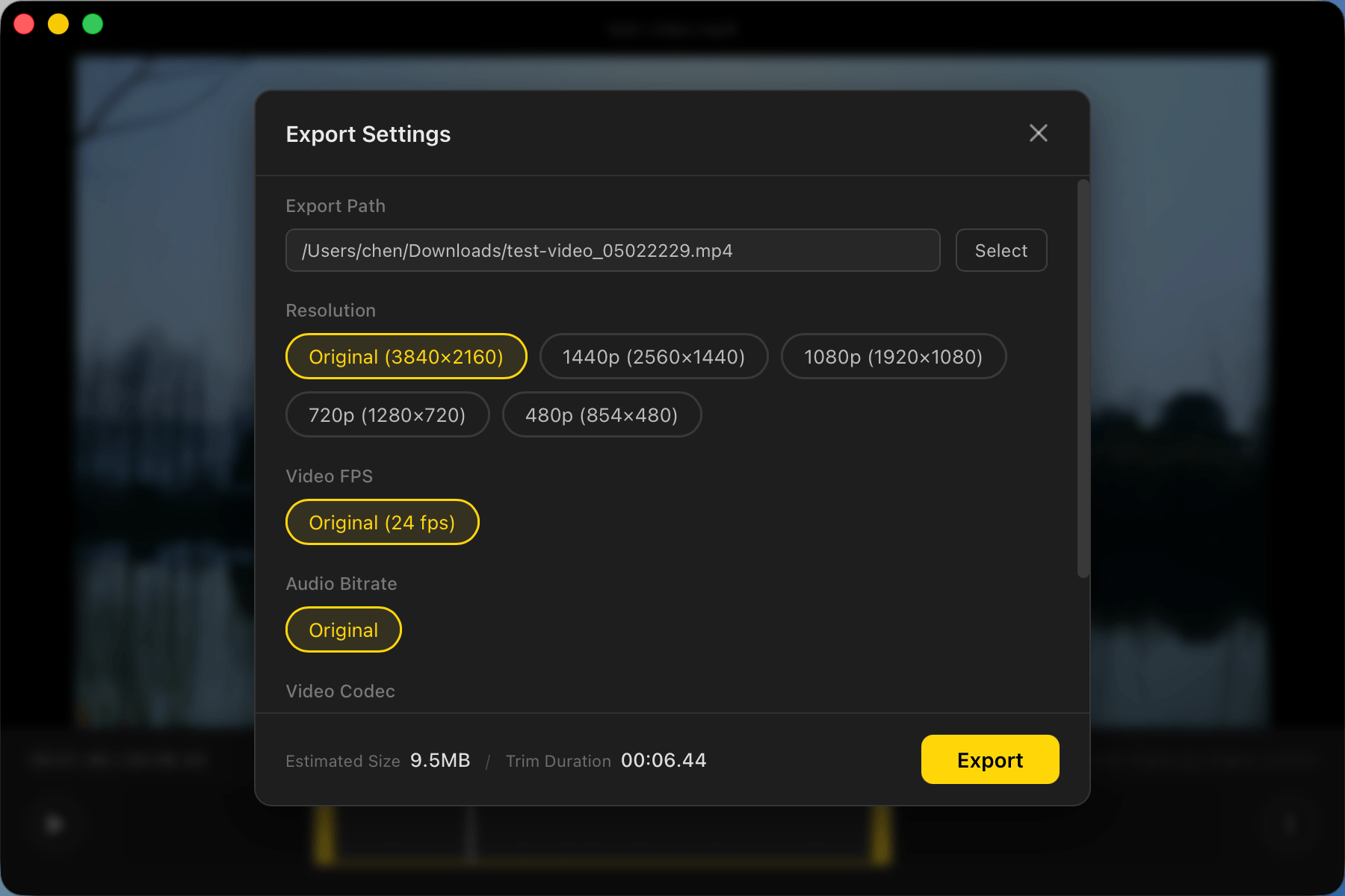 TinyCut screenshot 2 - Export settings dialog